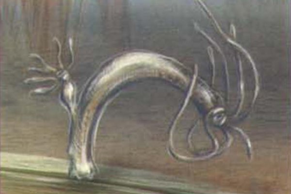Кракен магазин krakens13 at