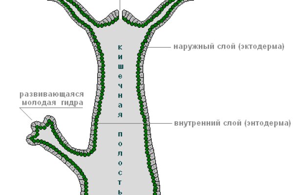 Кракен не работает сегодня