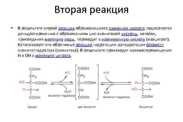 Кракен ссылка trikky