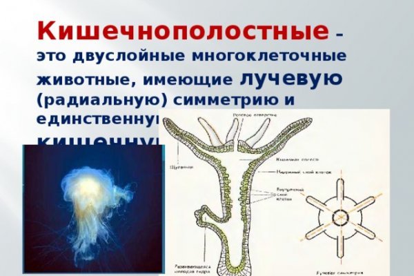 Какая комиссия кракен маркетплейс